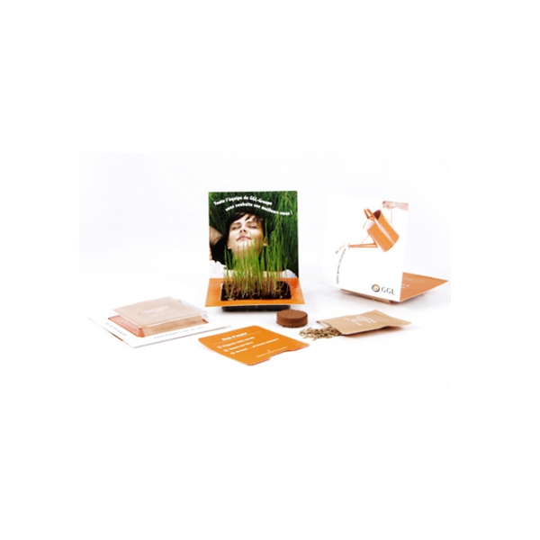 Carte originale graines gazon (petit modèle)