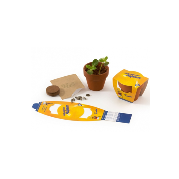 Graines en pot terre 55mm