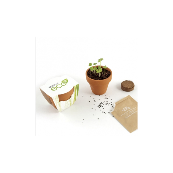 Graines bio en pot terre 55mm