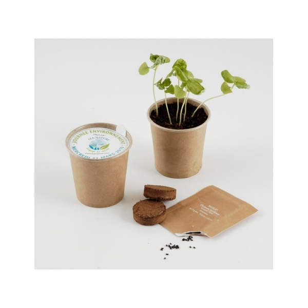 Graines en pot gobelet carton