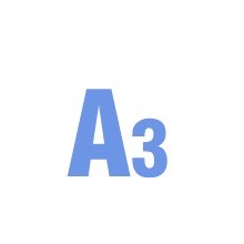 A3